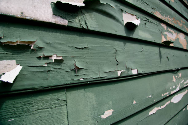 Same-Day Junk Removal Services in Windber, PA