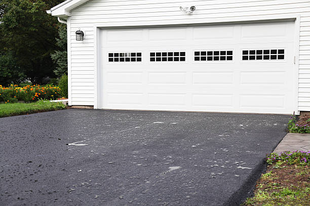 Best Hoarding Cleanup  in Windber, PA