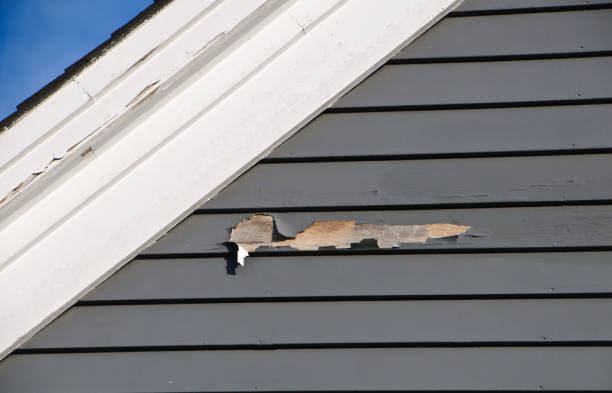 Best Residential Junk Removal  in Windber, PA